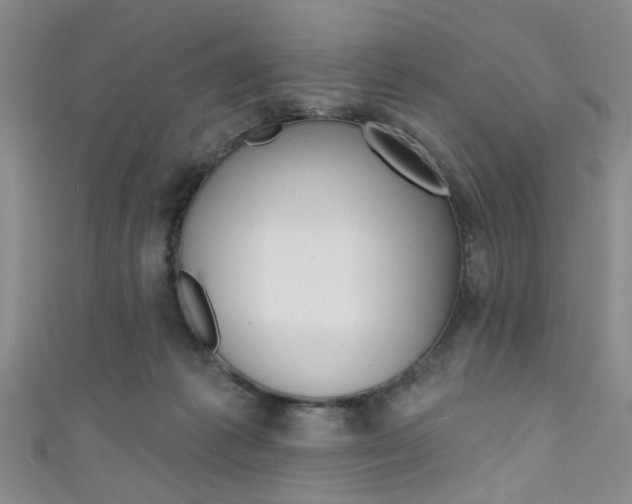 X0000111420221200907131026