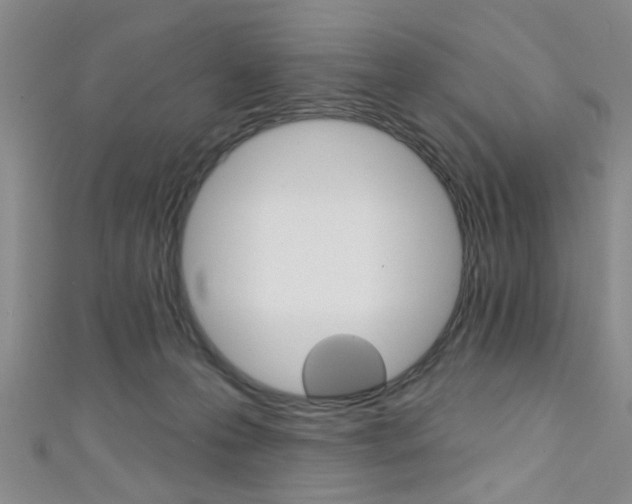 X0000111420223200907131026