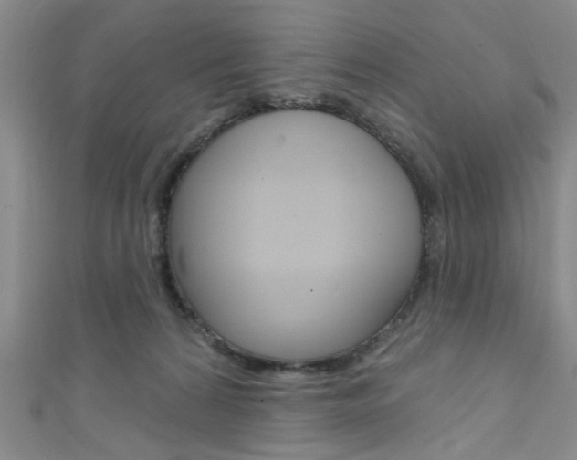 X0000111420224200907131026