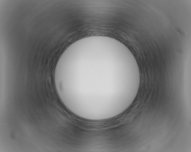 X0000111420225200907131026