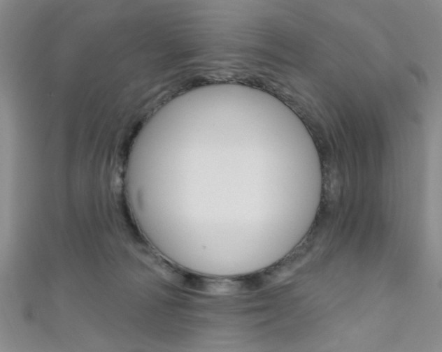 X0000111420226200907131026