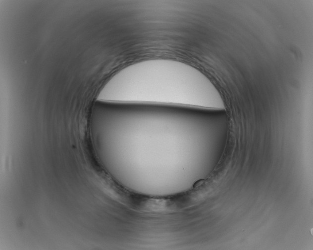 X0000111420227200907131026