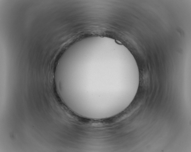 X0000111420228200907131026