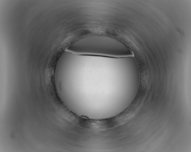 X0000111420229200907131026