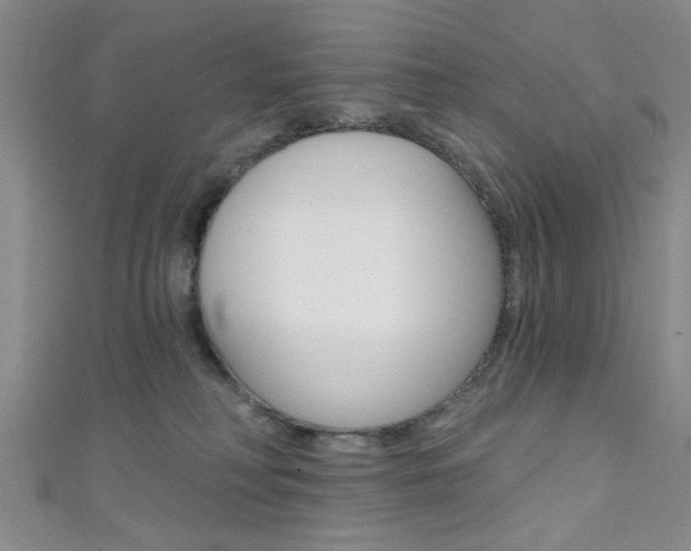 X0000111420230200907131026