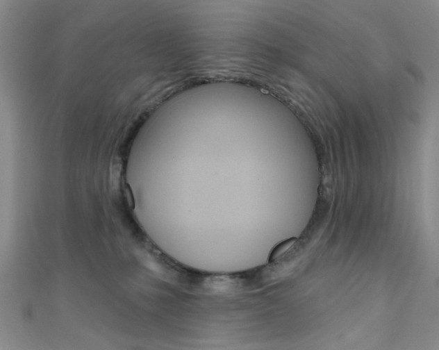 X0000111420231200907131026
