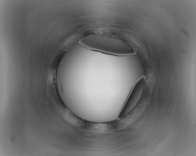 X0000111420233200907131026