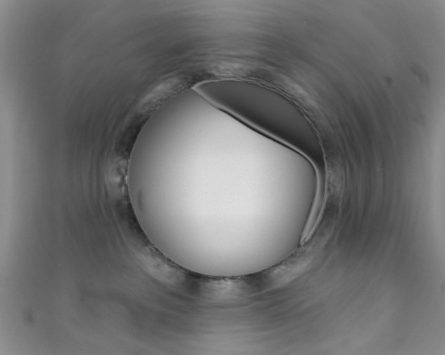 X0000111420237200907131026