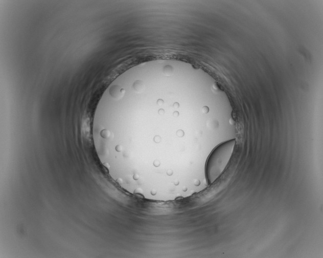 X0000111420238200907131026