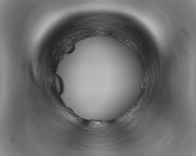 X0000111420239200907131026