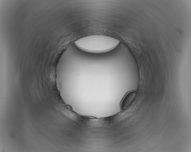 X0000111420240200907131026