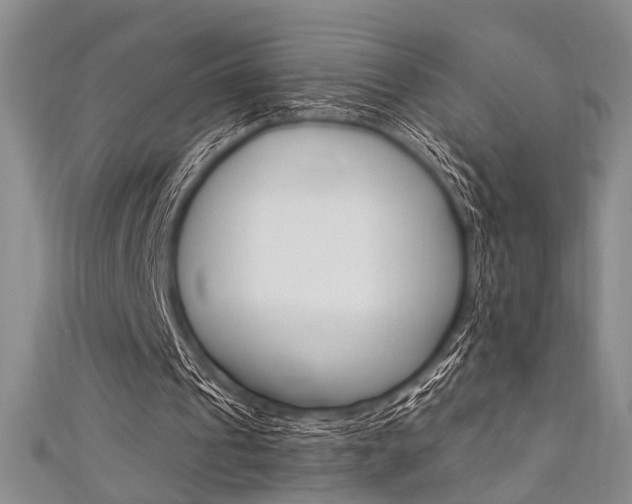 X0000111420241200907131026