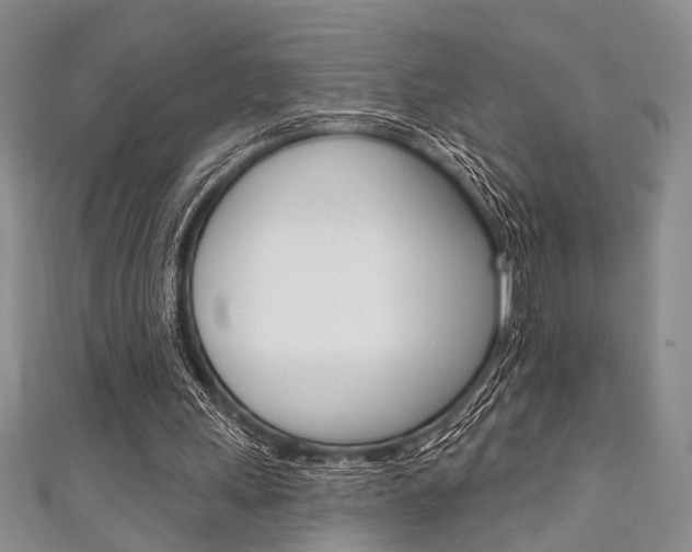 X0000111420243200907131026