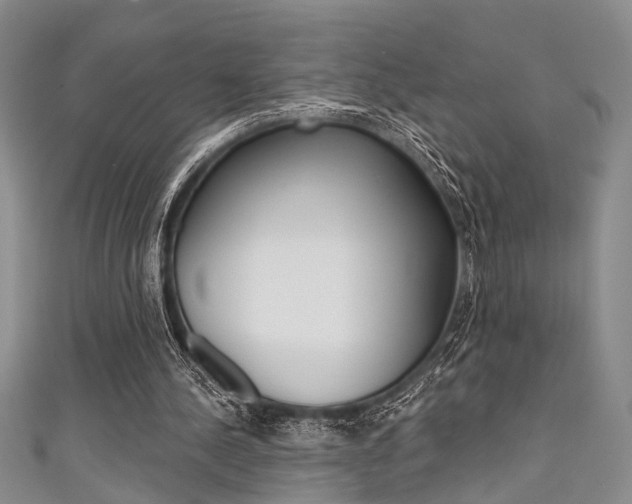 X0000111420244200907131026