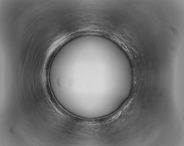 X0000111420245200907131026