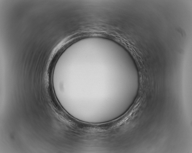 X0000111420246200907131026