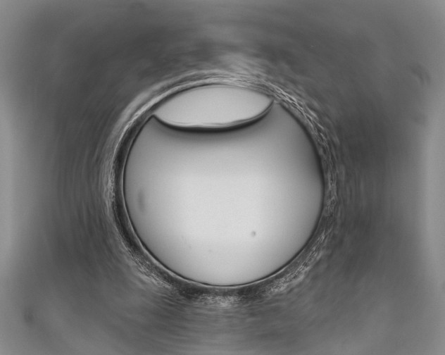 X0000111420247200907131026