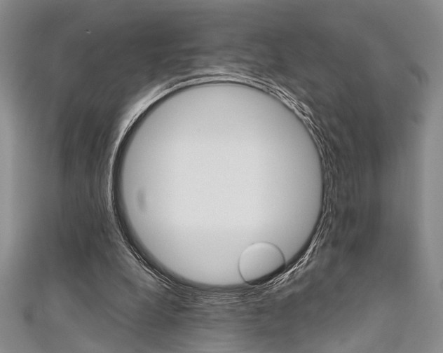 X0000111420248200907131026