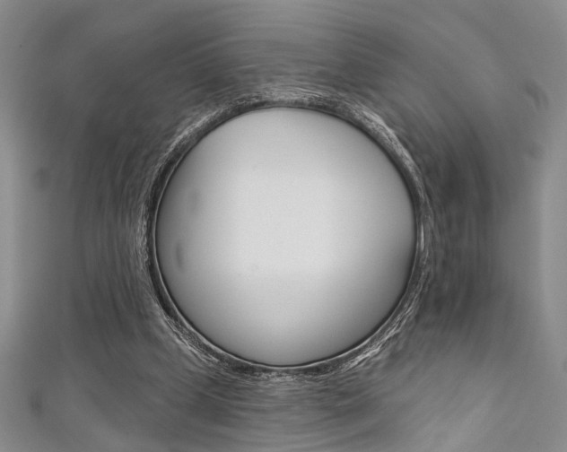 X0000111420249200907131026