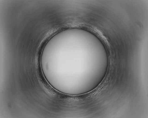 X0000111420250200907131026
