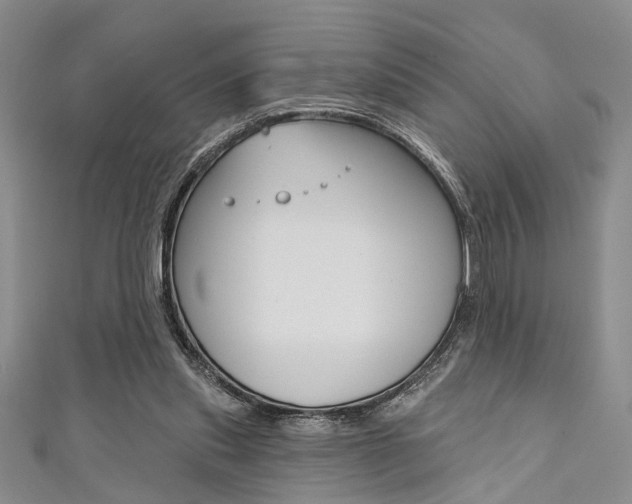 X0000111420253200907131026