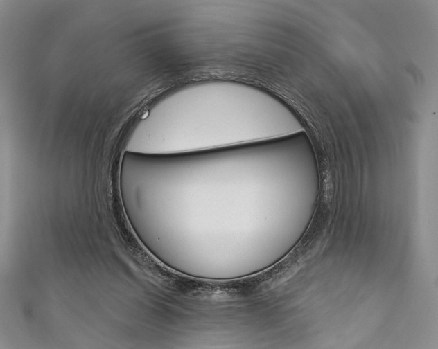 X0000111420254200907131026