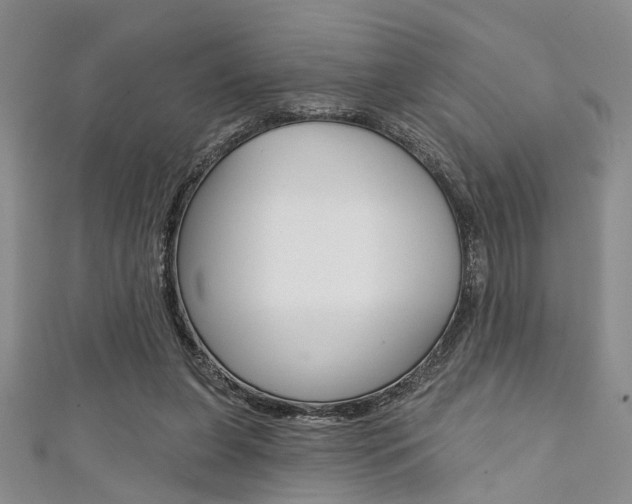 X0000111420255200907131026