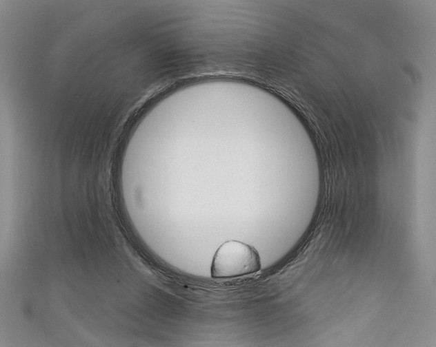 X0000111420256200907131026