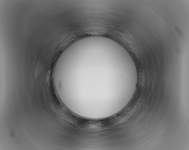 X0000111420263200907131026