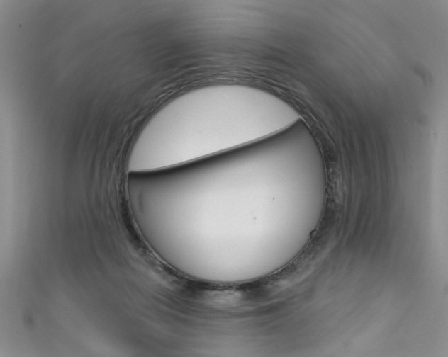 X0000111420266200907131026