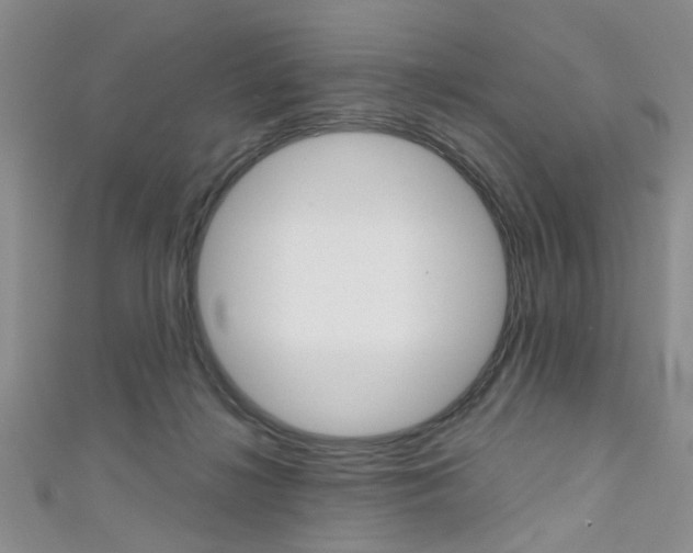 X0000111420268200907131026