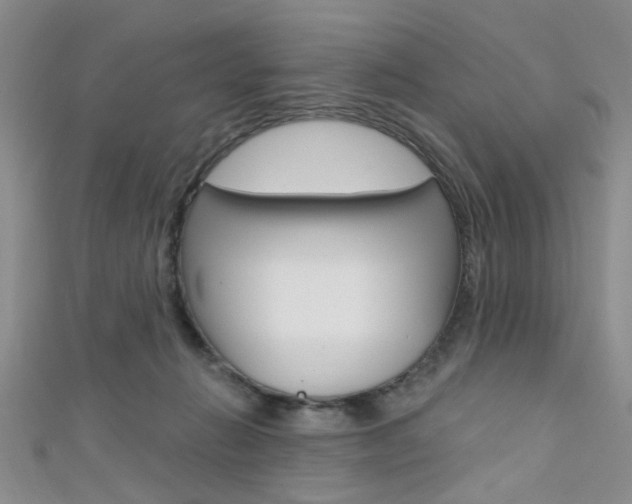 X0000111420270200907131026