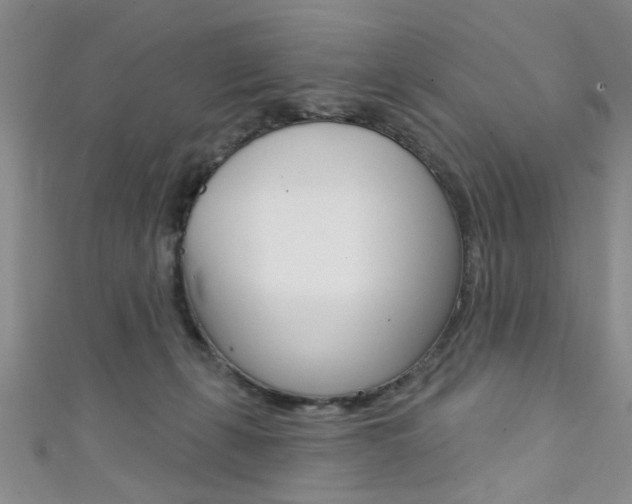 X0000111420271200907131026