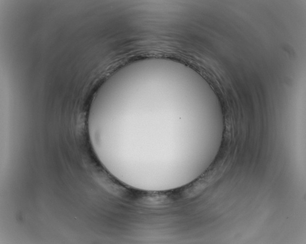 X0000111420278200907131026