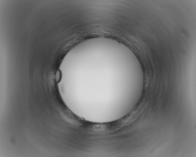 X0000111420279200907131026