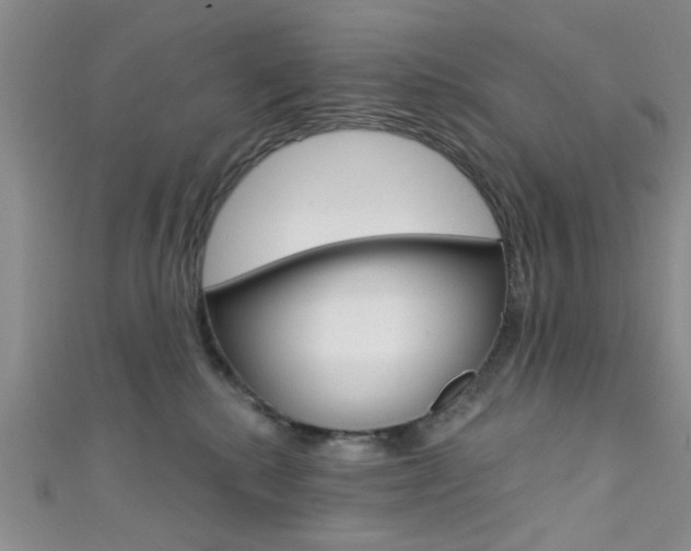 X0000111420280200907131026