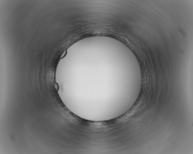 X0000111420281200907131026