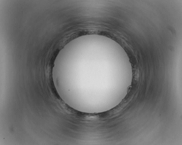 X0000111420283200907131026