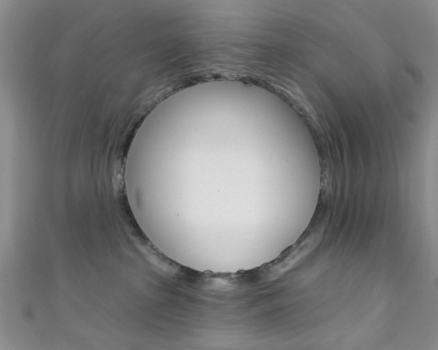 X0000111420285200907131026