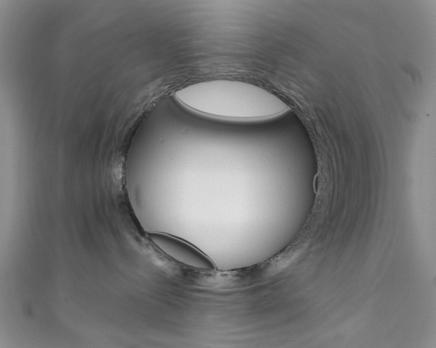 X0000111420288200907131026