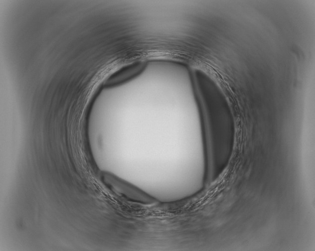 X0000111420289200907131026