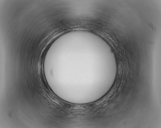 X0000111420290200907131026