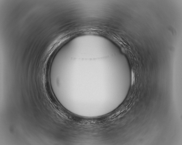 X0000111420291200907131026