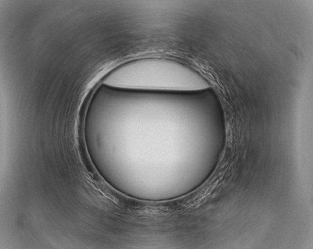 X0000111420292200907131026