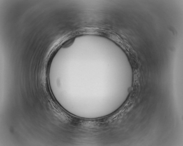 X0000111420293200907131026