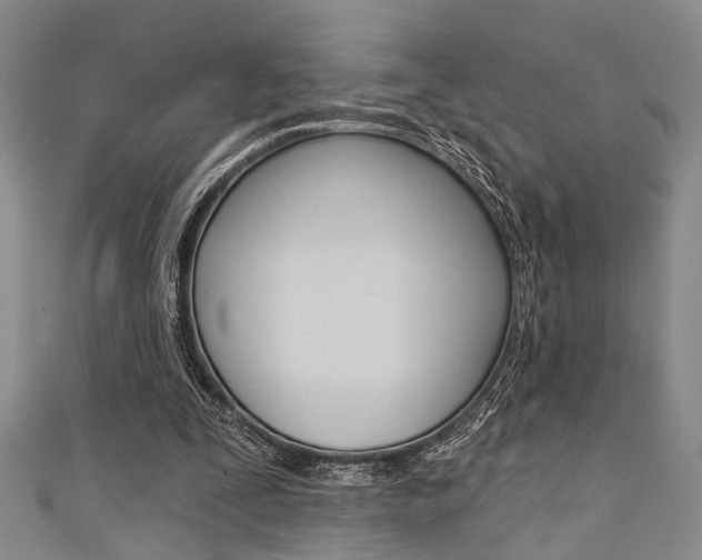 X0000111420295200907131026