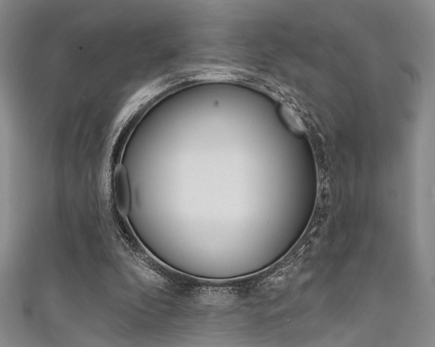 X0000111420296200907131026