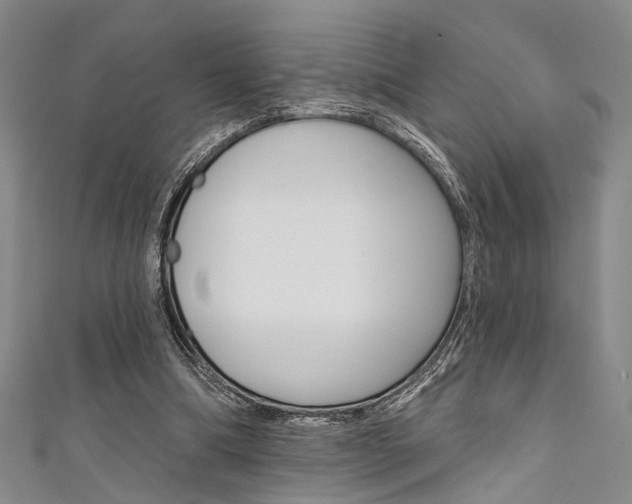 X0000111420298200907131026