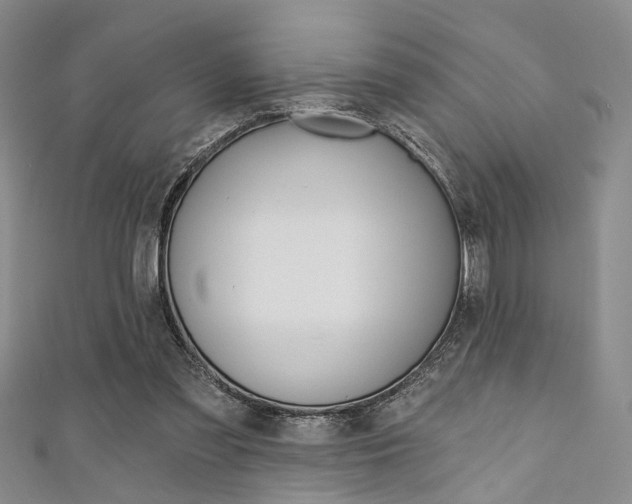 X0000111420301200907131025
