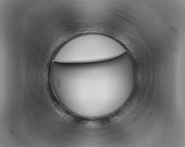X0000111420303200907131025